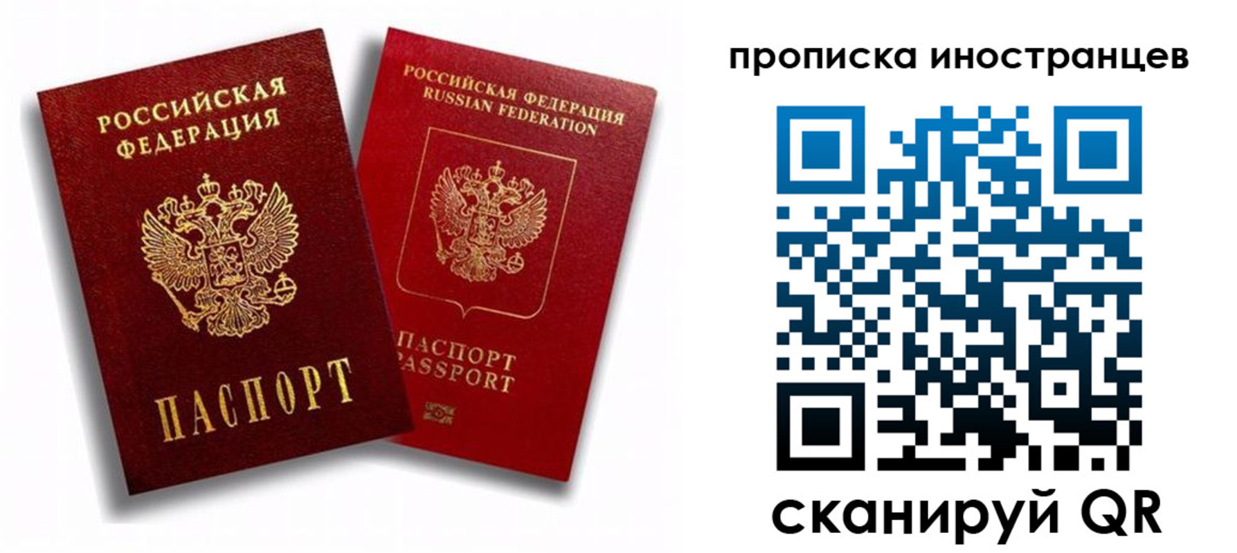 прописка паспорт в Курской области